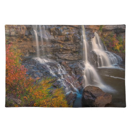 Blackwater Falls State Park  West Virginia Cloth Placemat