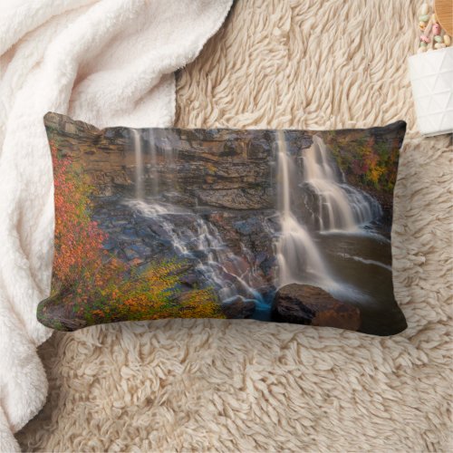 Blackwater Falls State Park  West Virginia Lumbar Pillow