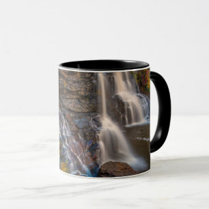 Blackwater Falls State Park West Virginia Mug