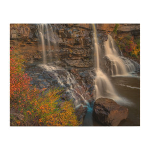 Blackwater Falls State Park West Virginia Wood Wall Art