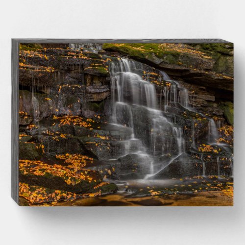 Blackwater Falls State Park Wooden Box Sign