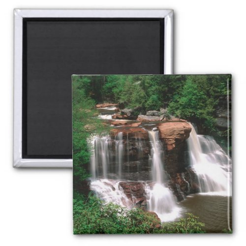 Blackwater Falls West Virginia scenic Magnet