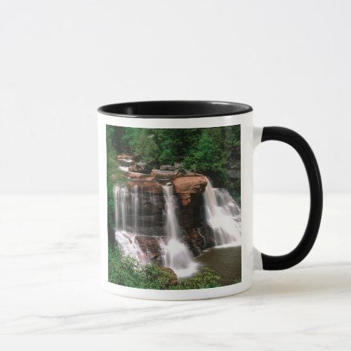 Blackwater Falls West Virginia scenic Mug