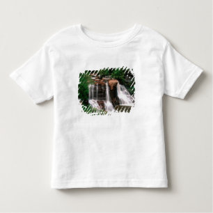 Blackwater Falls, West Virginia, scenic, Toddler T-shirt