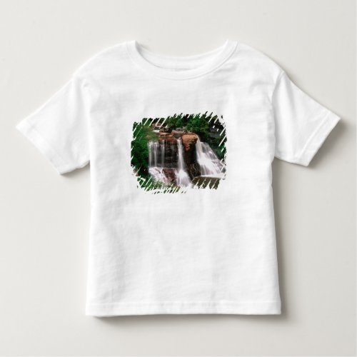 Blackwater Falls West Virginia scenic Toddler T_shirt
