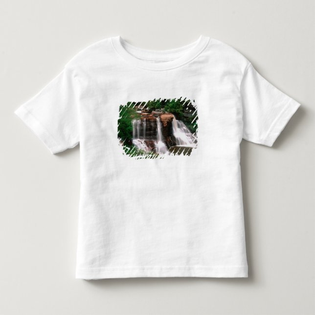 Blackwater Falls, West Virginia, scenic, Toddler T-shirt (Front)