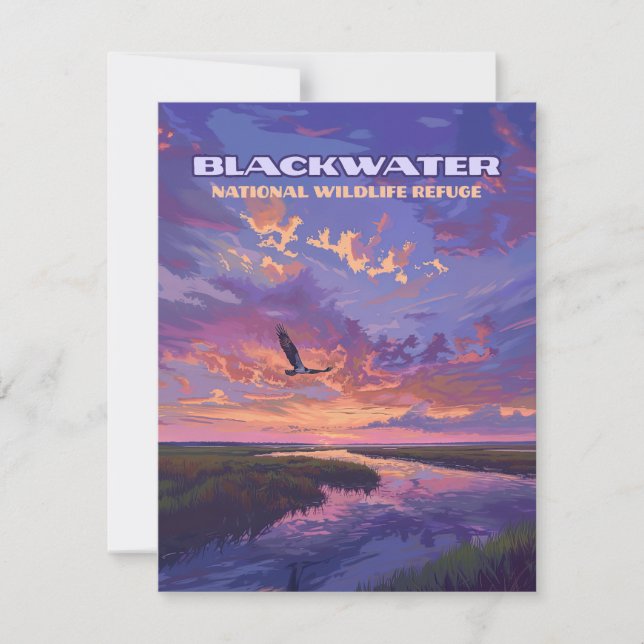 Blackwater National Wildlife Refuge Maryland Card (Front)