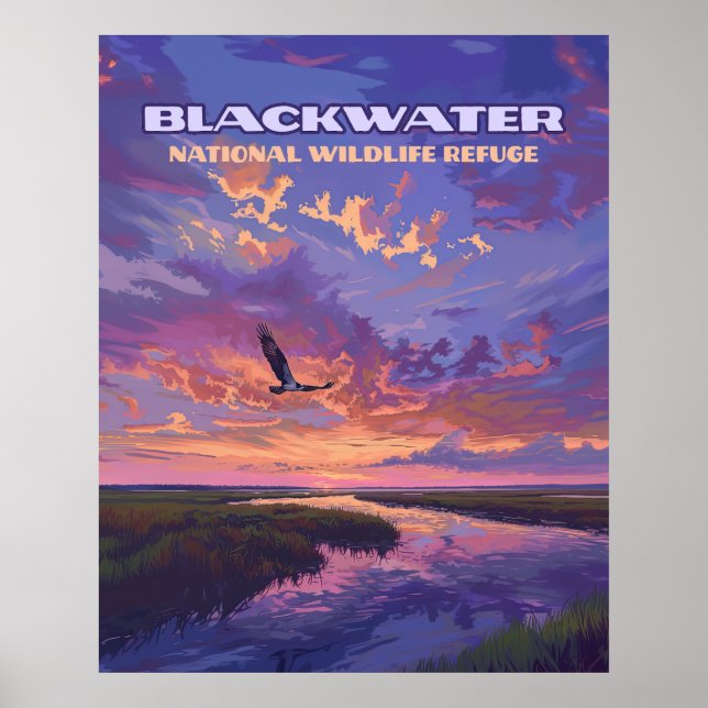 Blackwater National Wildlife Refuge Park Maryland  Poster (Front)