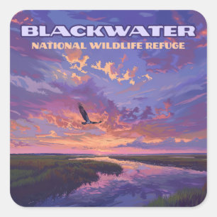 Blackwater National Wildlife Refuge Park Maryland Square Sticker