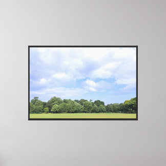 Blackweir Fields. Bute Park, Cardiff, Wales. Canvas Print