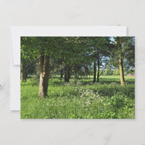 Blackweir Woods Bute Park Cardiff Wales Card