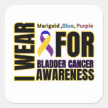 Bladder Cancer Awareness Ribbon Square Sticker