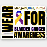 Bladder Cancer Awareness Ribbon Sticker