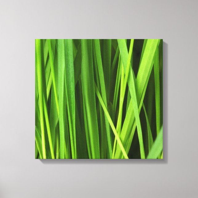 Blades of Grass Canvas Print (Front)