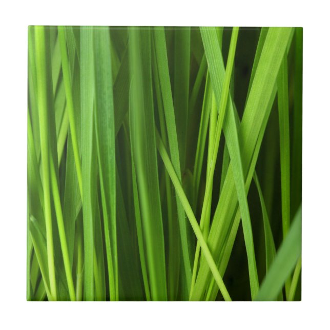 Blades of Grass Ceramic Tile (Front)