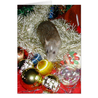 Blaize and the Baubles Cards
