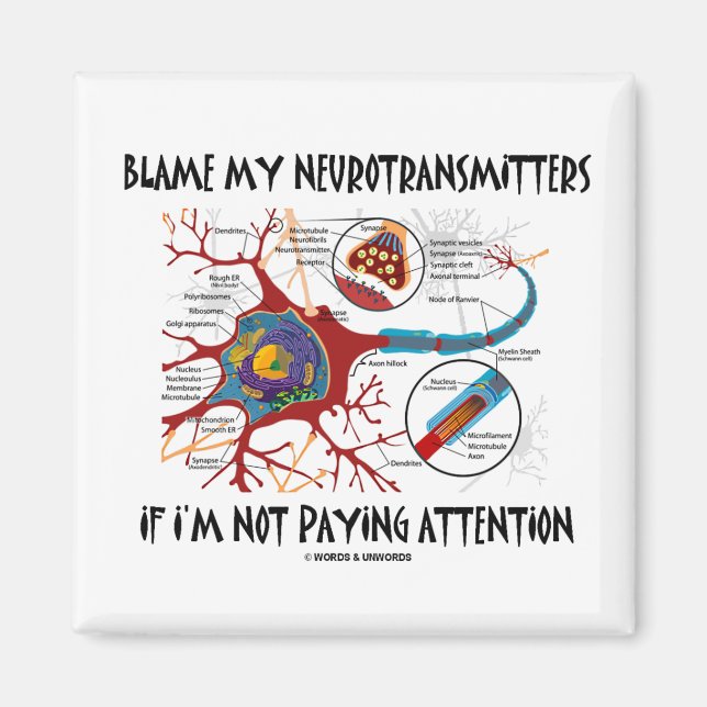 Blame My Neurotransmitters If Not Paying Attention Magnet (Front)