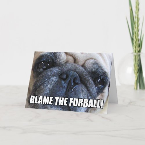 BLAME THE FURBALL  ALLERGY MEME CARD