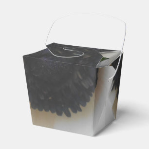 Blanchard Favor Boxes