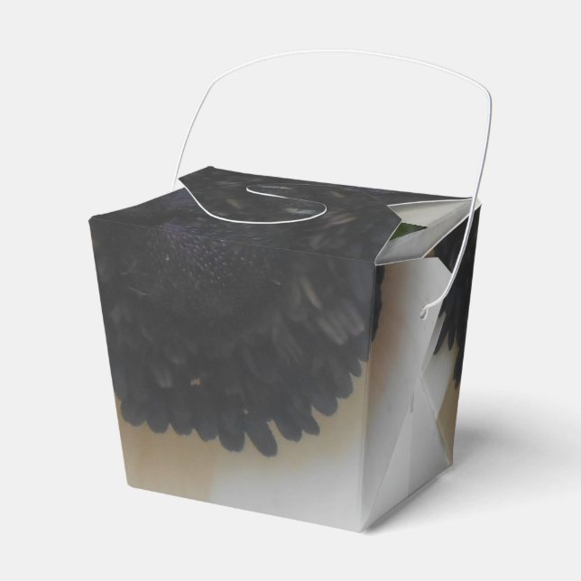 Blanchard Favor Boxes (Front Side)