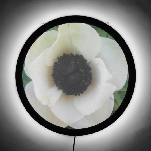 Blanchard LED Sign (Front)