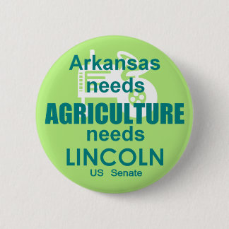 Blanche LINCOLN Senate Button