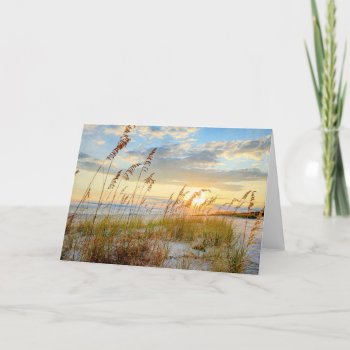 Blank 5 X 7 Card Sea Oats At The Beach by jonicool at Zazzle