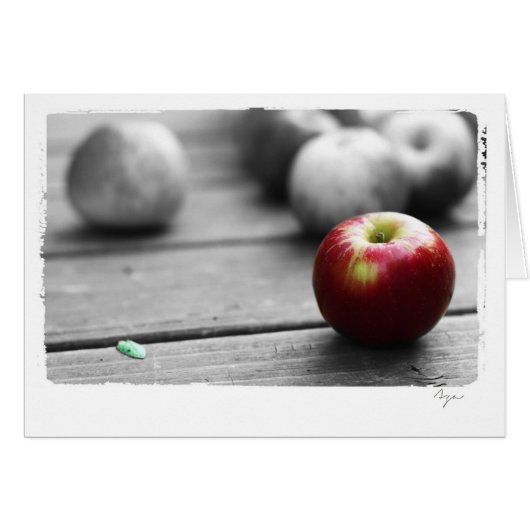 blank all occasion apple photography cards (Front Horizontal)
