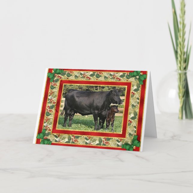 Blank Angus Cow And Calf Blank Christmas Card (Front)