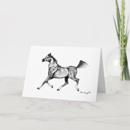 Blank Arabian Horse Greeting Card