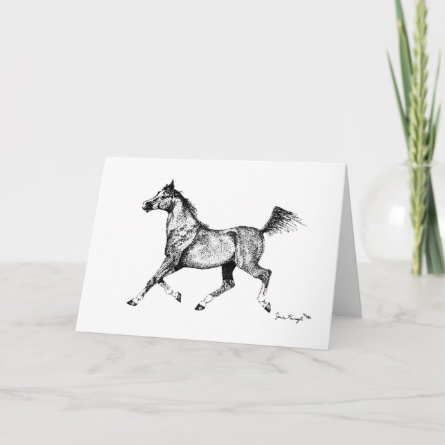 Blank Arabian Horse Greeting Card (Front)
