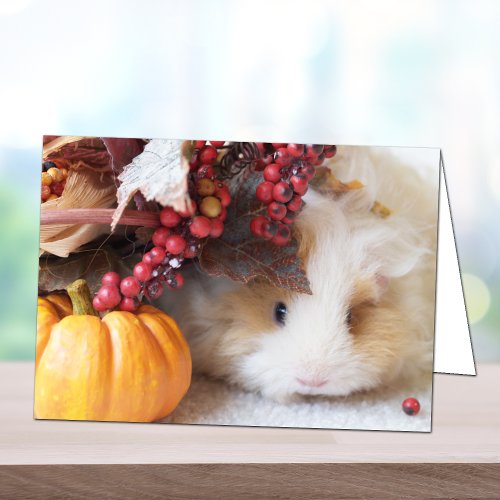 Blank Autumn Scene Guinea Pig Greeting Card