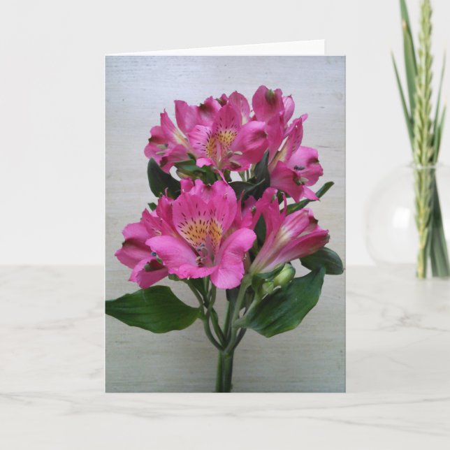Blank Card -Alstromeria (Front)