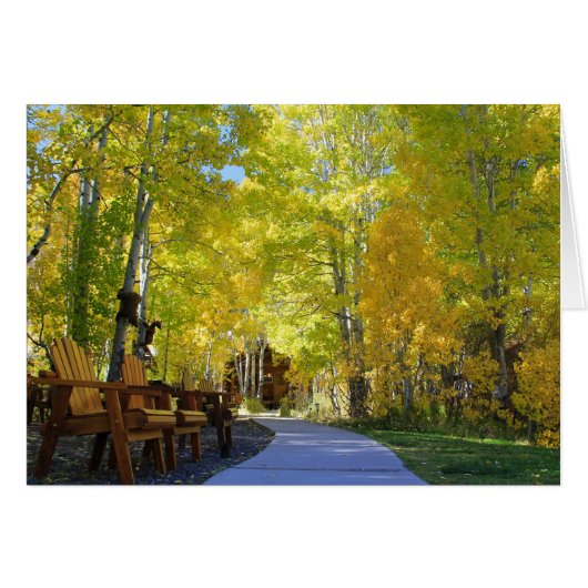 Blank Card, Aspen Trees, Autumn Cards (Front Horizontal)