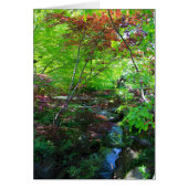 Blank Card, Botanical Garden (Front)