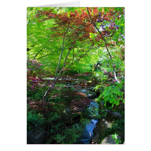 Blank Card, Botanical Garden Cards (Front)