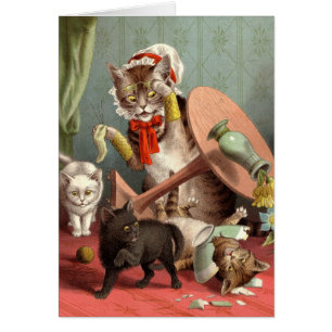 Blank card - Cat Chaos