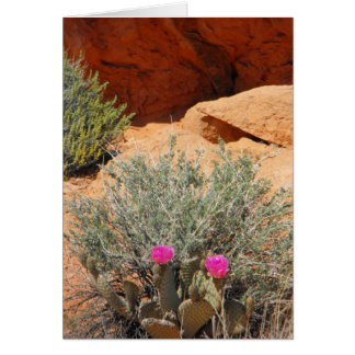 Blank Card, DSCF0348,~in your words~