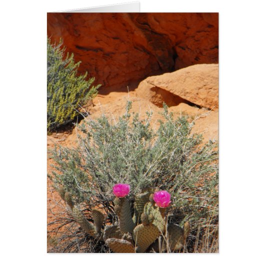 Blank Card, DSCF0348,~in your words~ (Front)