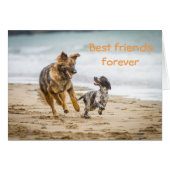 Blank Card German Shepherd Dog and Cockerspaniel (Front Horizontal)