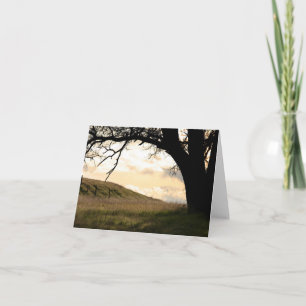 Blank Card, Landscape Letterpress Thank You Card