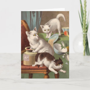 Blank card - Naughty Cat series - Cats in a