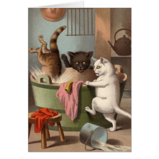 Blank card - Naughty Cat series - Cats Washday