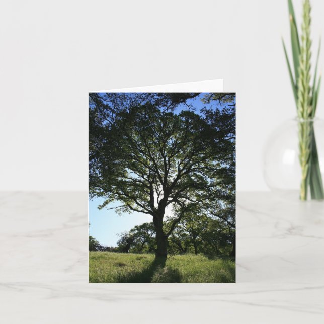 Blank Card, Oak Tree Letterpress Thank You Card (Front)