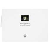 Blank card: One Pale Yellow Rose (Back Horizontal)