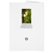 Blank Card, Rudbeckia Flower (Back)
