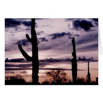 Blank Card - Saguaro At Sunset by PawsitiveDesigns at Zazzle