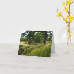 Blank Card, Scenic Card | Zazzle