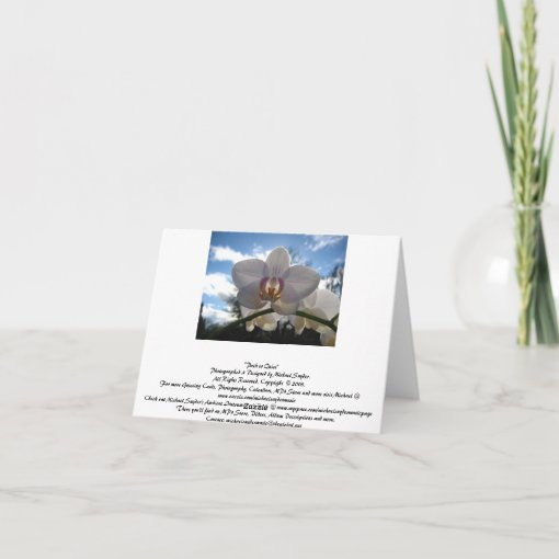 Blank Card, Scenic Card | Zazzle