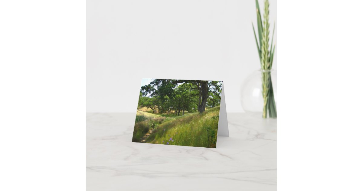 Blank Card, Scenic Card Zazzle